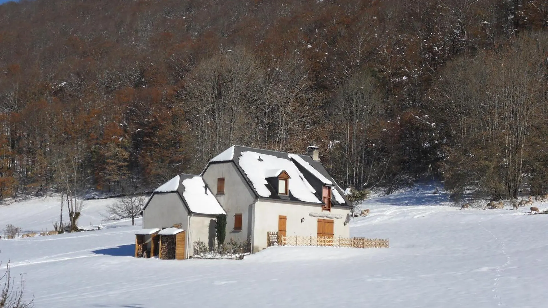 Chalet Jeanmarika 康庞